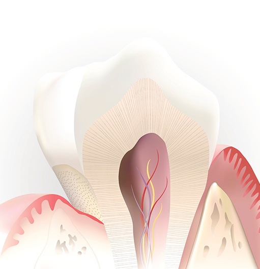 Animated inside of a healthy tooth not in need of pulp therapy